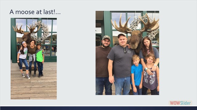 wowslider.com